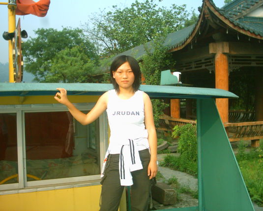 2006  (12)
